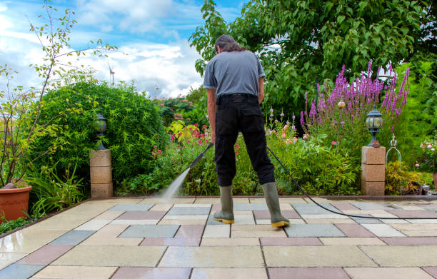 Best Animal Enclosure Cleaning  in Olyphant, PA